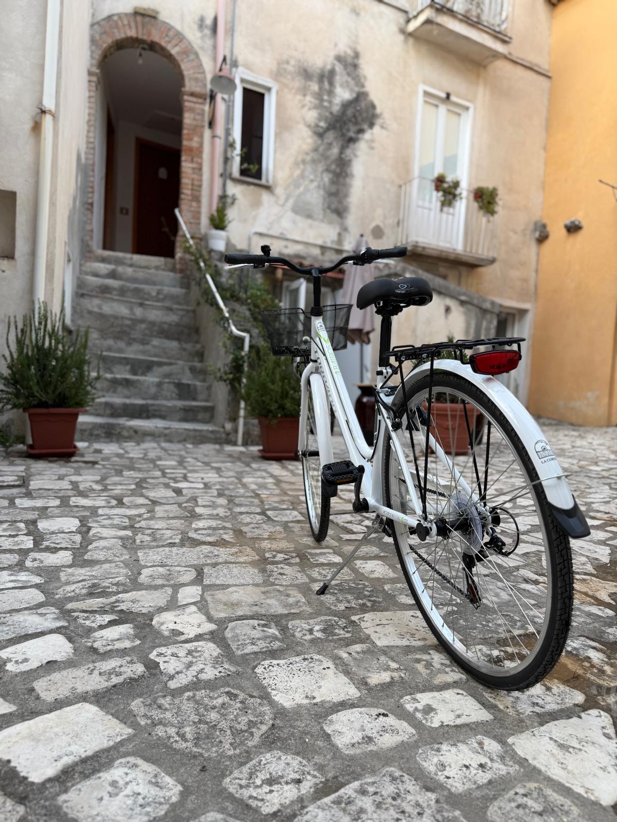 Bici a disposizione